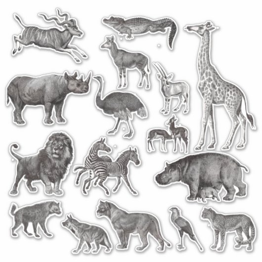  Afrikaanse dieren Illustraties Sticker (Voorkant)