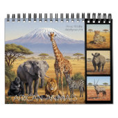 Afrikaanse Dieren Kalender 2027 / wilde Afrika (Hoes)