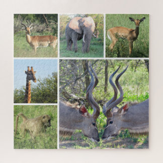 afrikaanse dieren legpuzzel