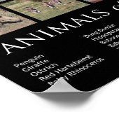 Afrikaanse dieren poster (Hoek)