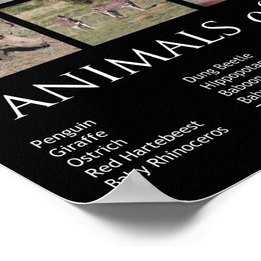 Afrikaanse dieren poster (Hoek)