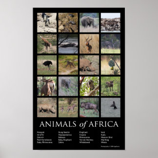 Afrikaanse dieren poster