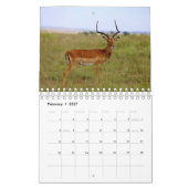 Afrikaanse dierkalender kalender (Feb 2027)