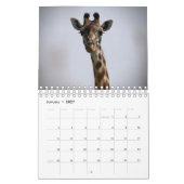 Afrikaanse dierkalender kalender (Jan 2027)