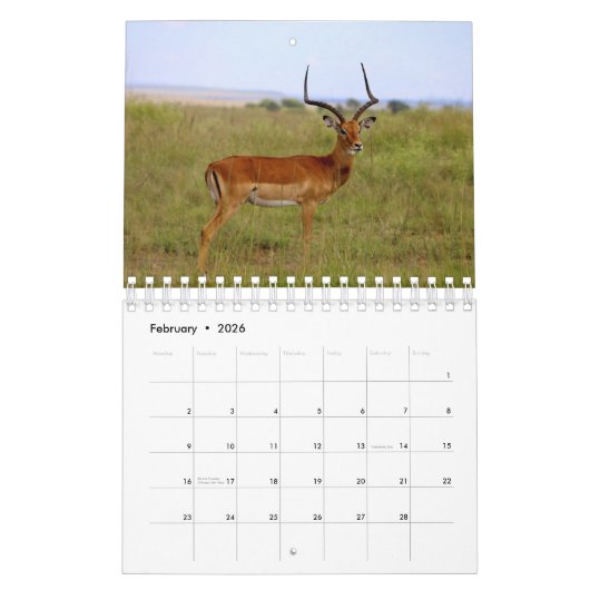 Afrikaanse dierkalender kalender (Feb 2026)