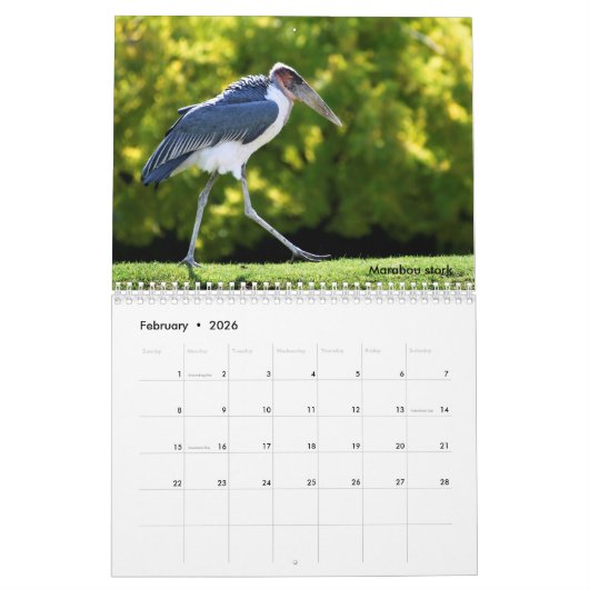 Afrikaanse dierkalender kalender (Feb 2026)