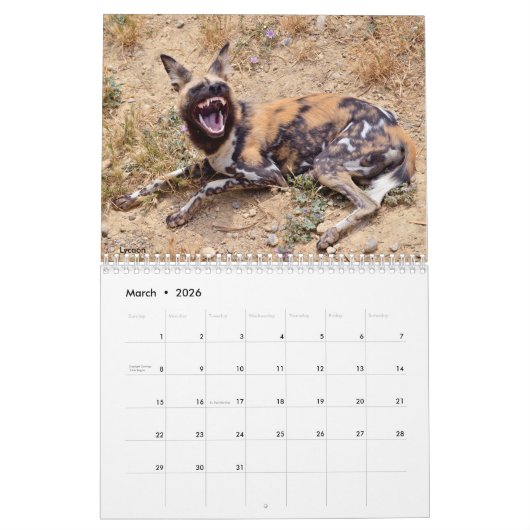 Afrikaanse dierkalender kalender (Mar 2026)