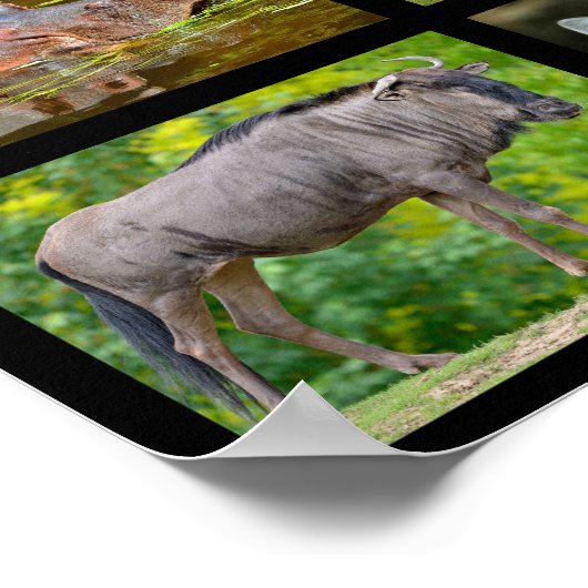 Afrikaanse diermozaïek poster (Hoek)