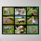 Afrikaanse diermozaïek poster (Voorkant)