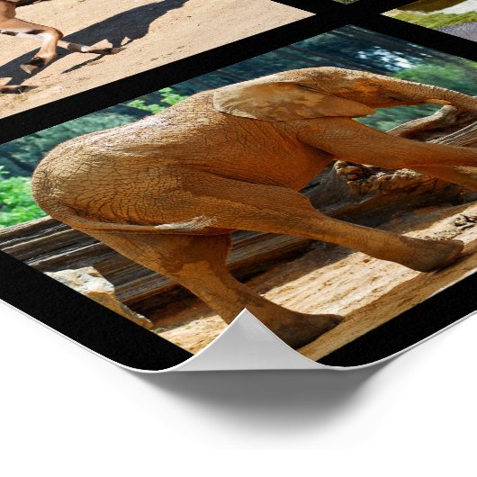 Afrikaanse diermozaïek poster (Hoek)