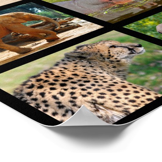 Afrikaanse diermozaïek poster (Hoek)