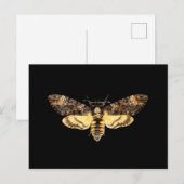 afrikaanse doodskop hawth kmoth butterfly insect  briefkaart (Voorkant / Achterkant)