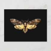 afrikaanse doodskop hawth kmoth butterfly insect  briefkaart (Voorkant)