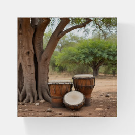 Afrikaanse drums