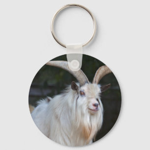 Afrikaanse Dwerggeit Sleutelhanger