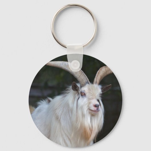 Afrikaanse Dwerggeit Sleutelhanger (Voorkant)