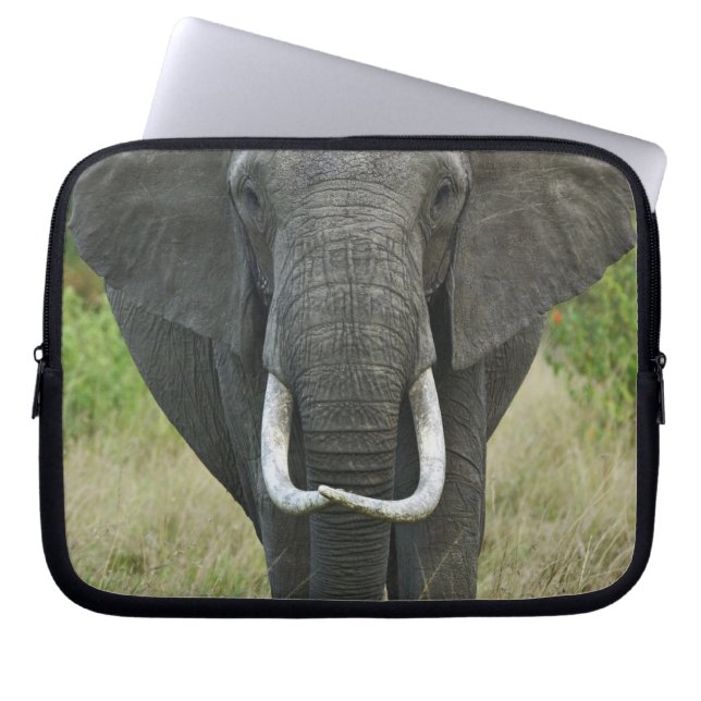Afrikaanse Elephantna loxodonta, Masai Mara Game Laptop Sleeve (Voorkant)
