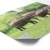 AFRIKAANSE ELEPHANTS POSTER (Hoek)