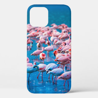 Afrikaanse flamingos. Band van de flamingos Case-Mate iPhone Case