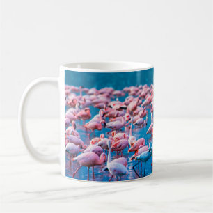 Afrikaanse flamingos. Band van de flamingos Koffiemok