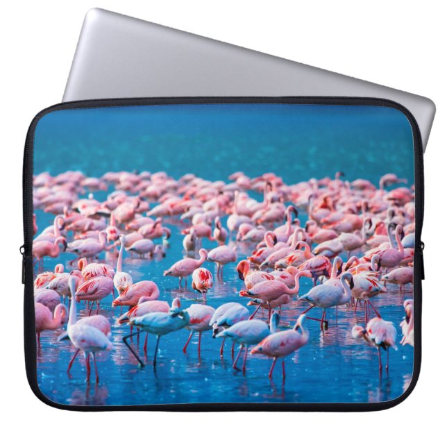 Afrikaanse flamingos. Band van de flamingos Laptop Sleeve (Voorkant)