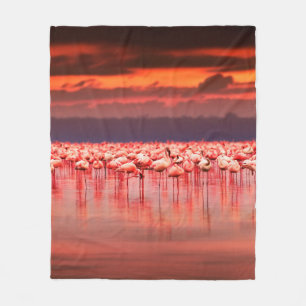 Afrikaanse flamingos in het meer over mooie zon fleece deken