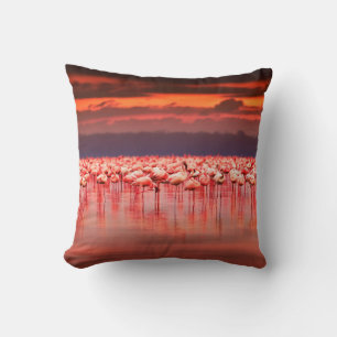 Afrikaanse flamingos in het meer over mooie zon kussen