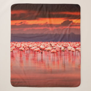 Afrikaanse flamingos in het meer over mooie zon sherpa deken