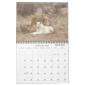 AFRIKAANSE FOTO SAFARI KALENDER (Jan 2027)