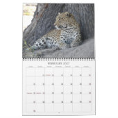 AFRIKAANSE FOTOSAFFARI - BOTSWANA & ZUID-AFRIKA KALENDER (Feb 2027)