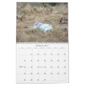 AFRIKAANSE FOTOSAFFARI - BOTSWANA & ZUID-AFRIKA KALENDER (Mar 2027)