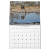 AFRIKAANSE FOTOSAFFARI - BOTSWANA & ZUID-AFRIKA KALENDER (Jan 2027)