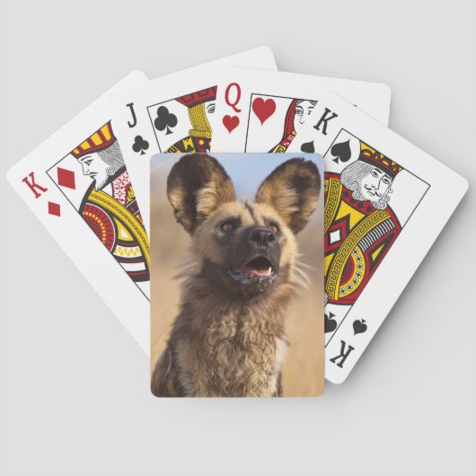 Afrikaanse Gekleurde Wilde Hond Speelkaarten (Achterkant)