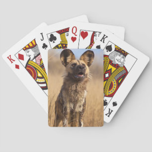 Afrikaanse geschilderde wilde hond pokerkaarten