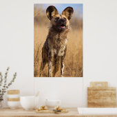 Afrikaanse Geverfde Wilde Hond Poster (Keuken)