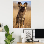 Afrikaanse Geverfde Wilde Hond Poster (Thuiskantoor)
