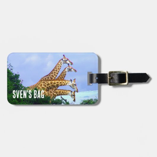 afrikaanse Giraffe 4 hoofden Bagagelabel (Voorkant horizontaal)