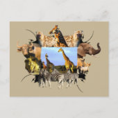 Afrikaanse Giraffe van het wild Lijst Herd Briefkaart (Voorkant)