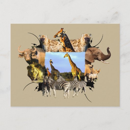 Afrikaanse Giraffe van het wild Lijst Herd Briefkaart (Voorkant)