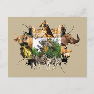 Afrikaanse Giraffe van wilde Lijsten Aloe Briefkaart