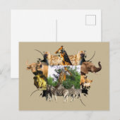 Afrikaanse Giraffe van wilde Lijsten Aloe Briefkaart (Voorkant / Achterkant)