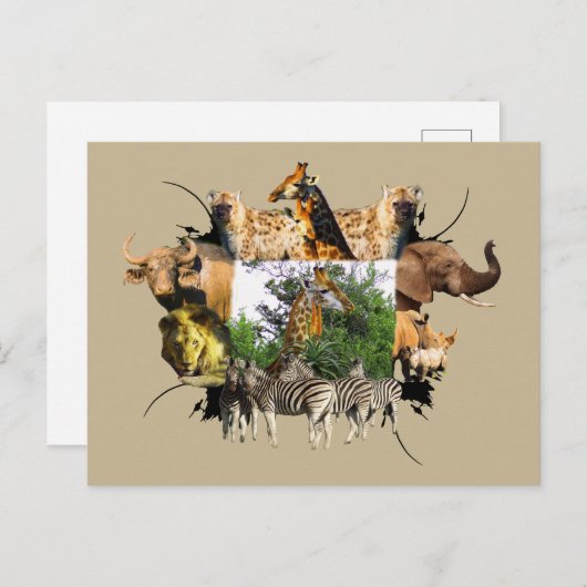 Afrikaanse Giraffe van wilde Lijsten Aloe Briefkaart (Voorkant / Achterkant)