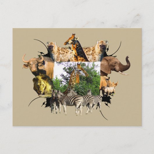 Afrikaanse Giraffe van wilde Lijsten Aloe Briefkaart (Voorkant)