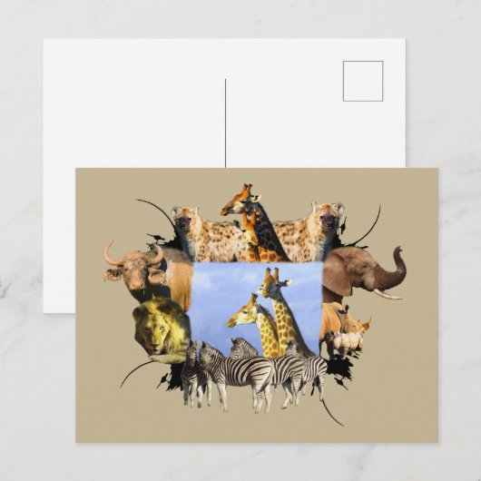 Afrikaanse Giraffe Wildlife Lijst Briefkaart (Voorkant / Achterkant)