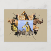 Afrikaanse Giraffe Wildlife Lijst Briefkaart (Voorkant)
