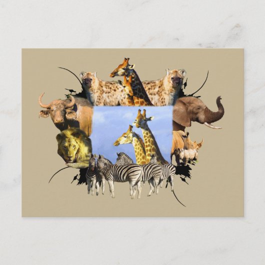 Afrikaanse Giraffe Wildlife Lijst Briefkaart (Voorkant)