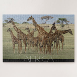afrikaanse giraffes legpuzzel