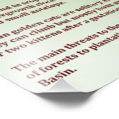 Afrikaanse Gouden Kat Foto Afdruk (Hoek)