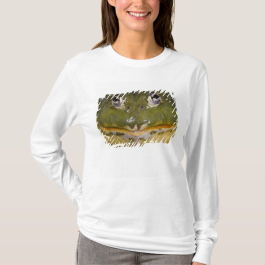 Afrikaanse graveerpad, Pyxicephalus T-shirt (Voorkant)