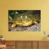 Afrikaanse Gravende Brulkikker, Pyxicephalus 2 Canvas Afdruk (Insitu (Woonkamer))